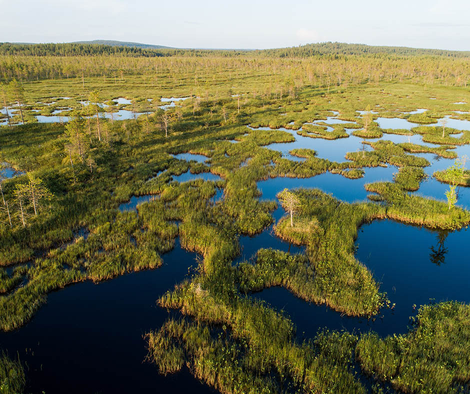 Vue aérienne d'un paysage naturel constitué de zones humides, avec des étendues d'eau entourées de végétation dense, reflétant un écosystème riche et préservé.