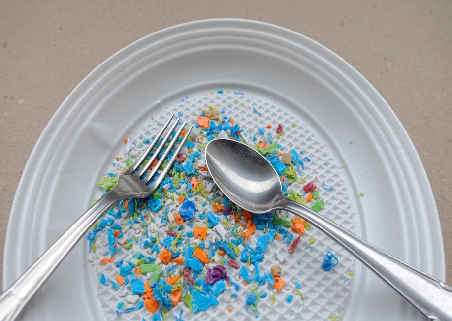 Assiette contenant des fragments de microplastiques colorés, symbolisant leur présence dans notre chaîne alimentaire.